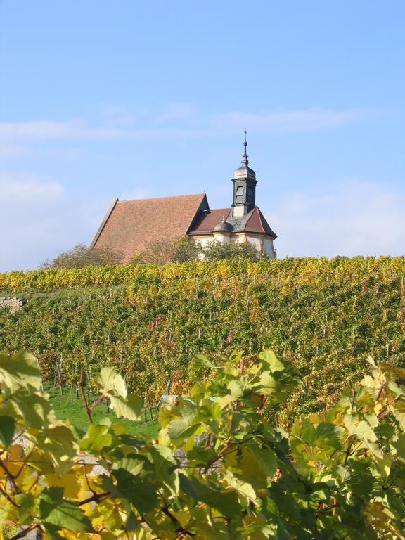 Hotel Schwarzes Ross Schwarzach am Main Eksteriør billede